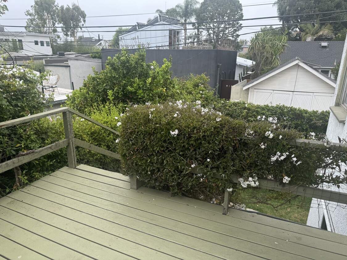 Patio - 827 Venezia Ave