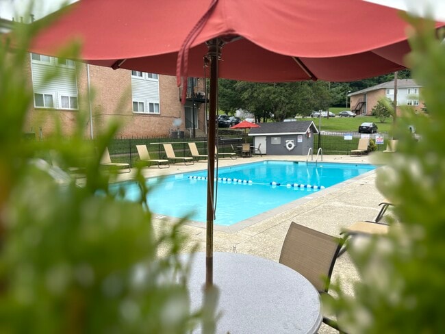 POOL - Pine Brook Apartments
