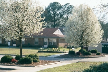 Primary Photo - Clearwater Village