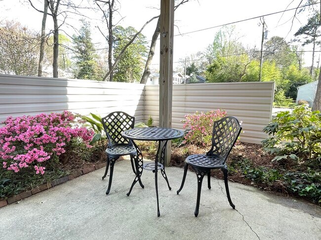 Condo Garden Patio - 327 S West St