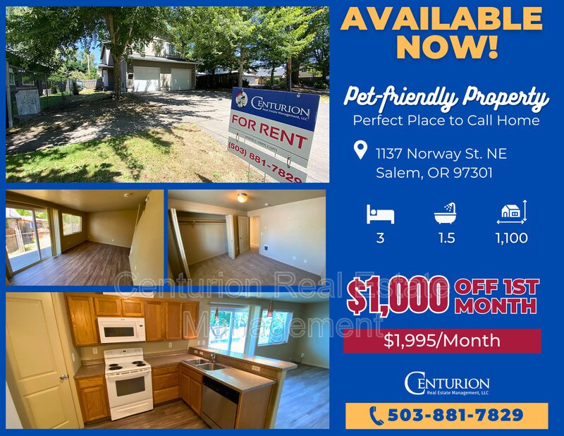 Foto principal - 1137 Norway St NE