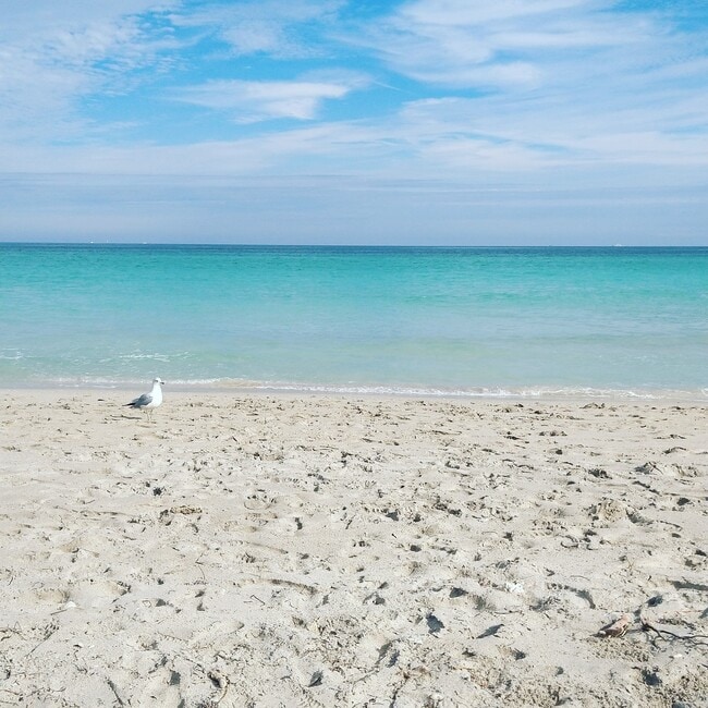 Beachfront - 1500 S Surf Rd