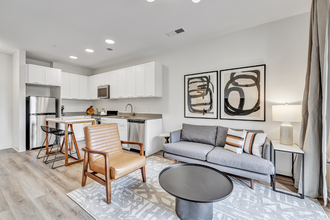 Interior Photo - Olive & Wooster