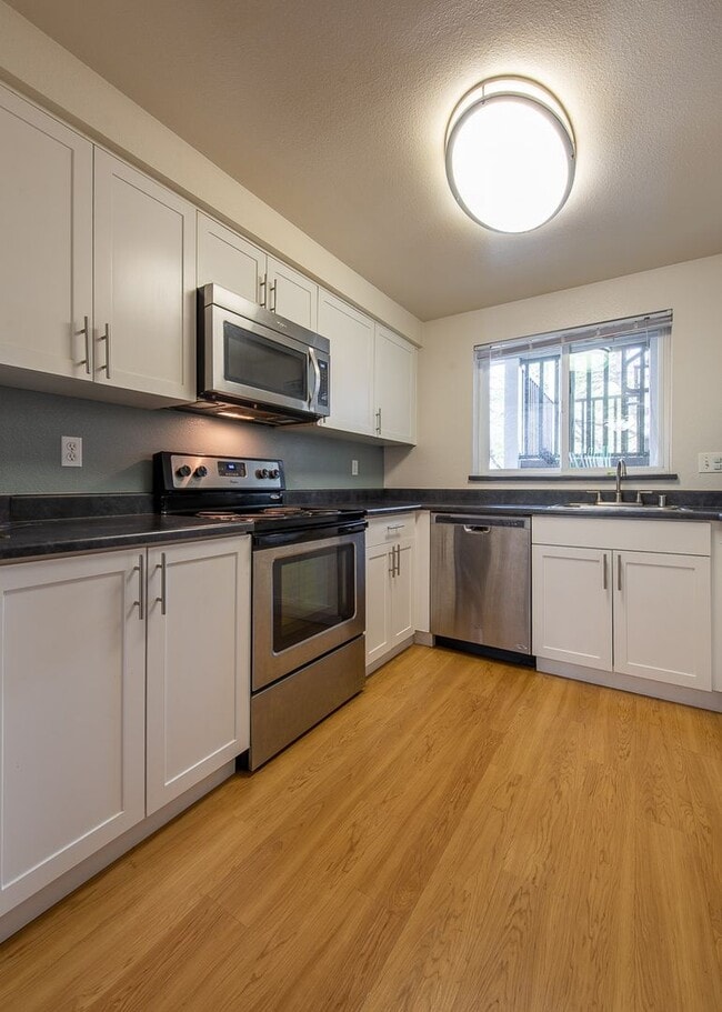 Interior Photo - Martine Apartments