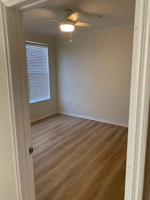 Bedroom 1 - 4221 W Spruce St