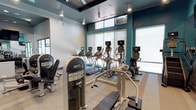 This contemporary fitness center is designed to deliver a comprehensive workout experience in a bright, energizing environment. The space is defined by its striking teal accent walls, contrasted against light gray tones and a dark coffered ceiling with recessed lighting, creating a dynamic yet focused atmosphere. A large ceiling fan is centrally mounted, ensuring air circulation throughout the space.

Natural light pours in through a generous row of large windows fitted with roller shades, lining one wall of the cardio zone. This area houses a full lineup of treadmills, elliptical trainers, and stationary bikes, all equipped with individual digital consoles. Clerestory windows positioned above provide additional daylight, further brightening the space.

The strength training area is thoughtfully separated and lined with floor-to-ceiling mirrors that visually expand the room. A complete rack of dumbbells and flat benches are positioned for free weight exercises, while multiple cable and resistance machines are arranged along the perimeter to accommodate a wide range of strength training routines. Wall-mounted flat-screen TVs are strategically placed throughout.

A dedicated hallway leads to an attached restroom, keeping the layout functional and self-contained. The flooring transitions between rubberized mat sections near equipment and smooth neutral tile in transitional areas, prioritizing both safety and style.