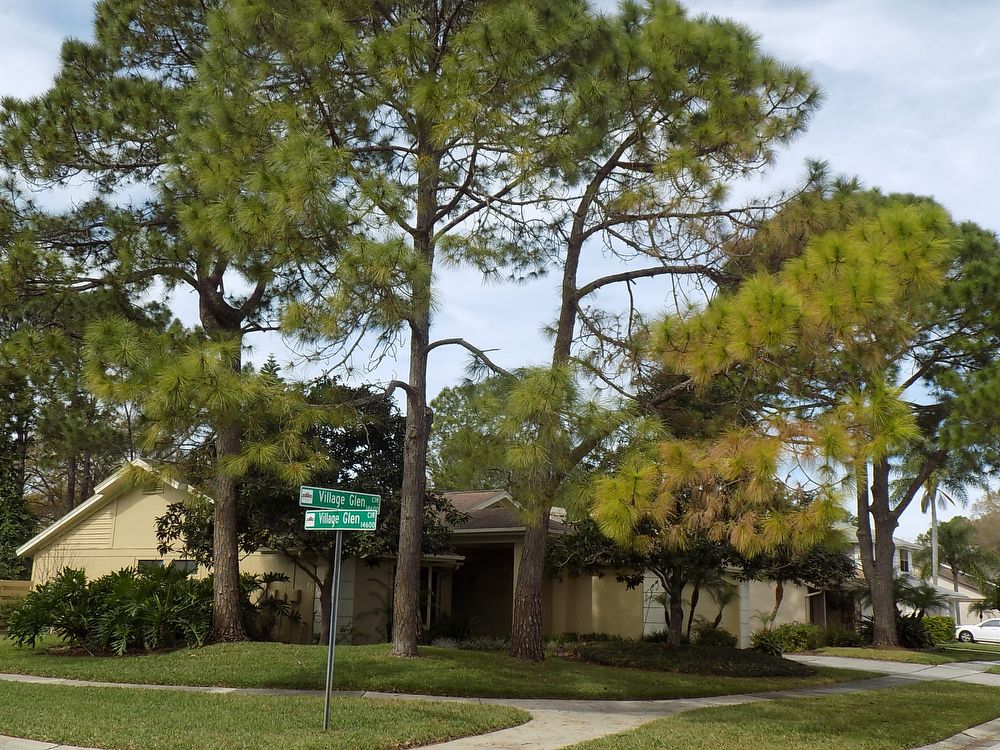 Primary Photo - 14612 Village Glen Cir