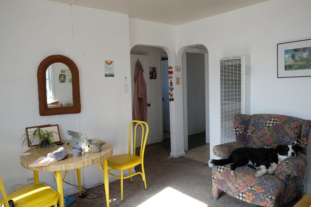 dog not included - 215 E 7th St