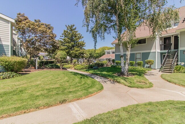 Foto del edificio - Brookside Oaks