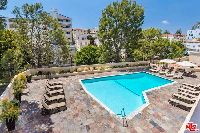 Luxurious Pool Deck to take in the sun - 10982 Roebling Ave