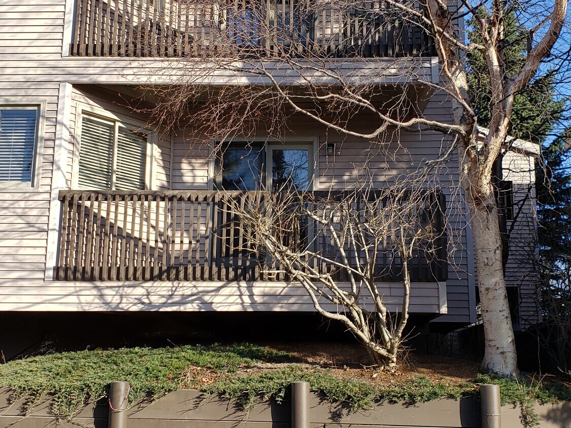 3031 E 42nd Ave Unit 401, Anchorage, AK 99508 Condo for Rent in