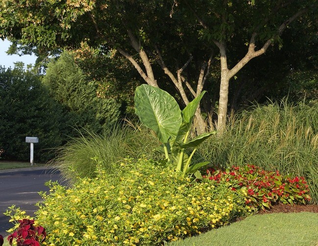 MAGNOLIAS AT HERNANDO Rentals Hernando, MS