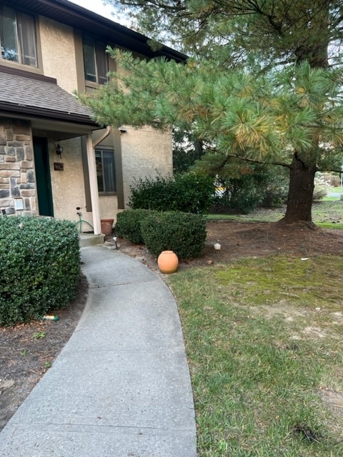 Front Yard - 14 Hampshire Dr