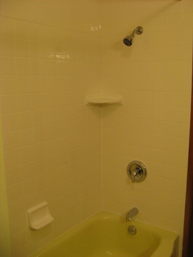 tub/shower - 1825 S 310th St