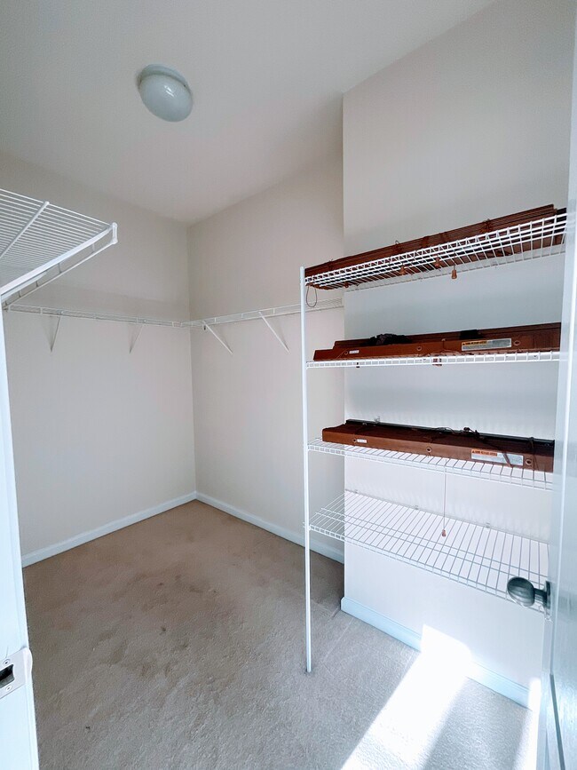 Building Photo - 10012 Juniper Trace Dr