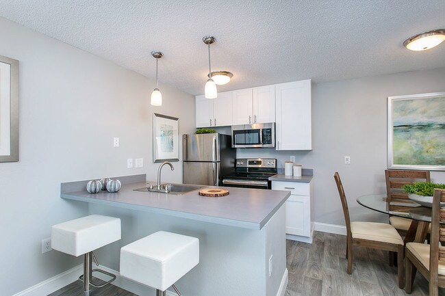 The Cove Apartments Tampa Fl Apartments Com