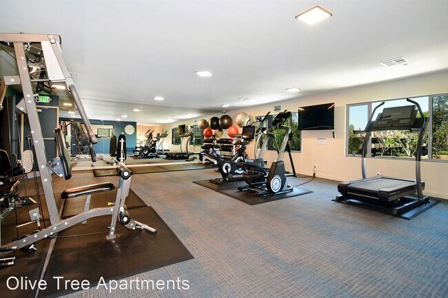 Foto del edificio - 1 br, 1 bath Apartment - Olive Tree Apartm...