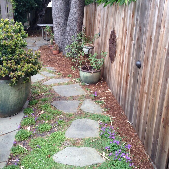 Path to cottage - 2423 Roosevelt Ave
