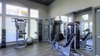 This fitness center is thoughtfully designed to support a full range of workout routines within a bright and functional environment. The space features soaring ceilings with a dark-painted ceiling detail that adds a modern, polished contrast to the light-toned walls. A row of large, high-set windows lines the upper portion of the walls, flooding the room with abundant natural light while providing views of the surrounding building exterior. The flooring consists of durable hardwood-style planks, offering both aesthetic appeal and practicality for a high-traffic fitness setting. Floor-to-ceiling mirrors are strategically placed to visually expand the space and allow users to monitor their form during exercise. The equipment selection is extensive and includes a multi-functional cable machine, a leg press, a combination weight-and-pulley training tower, and various additional strength-training apparatuses. A stability ball is also present, indicating support for functional and balance-focused training. The overall ambiance is clean, modern, and purposeful, with a neutral color palette of grays and whites that contributes to a focused and professional atmosphere. The layout allows for comfortable movement between stations, making the space efficient and accessible for a variety of fitness disciplines.