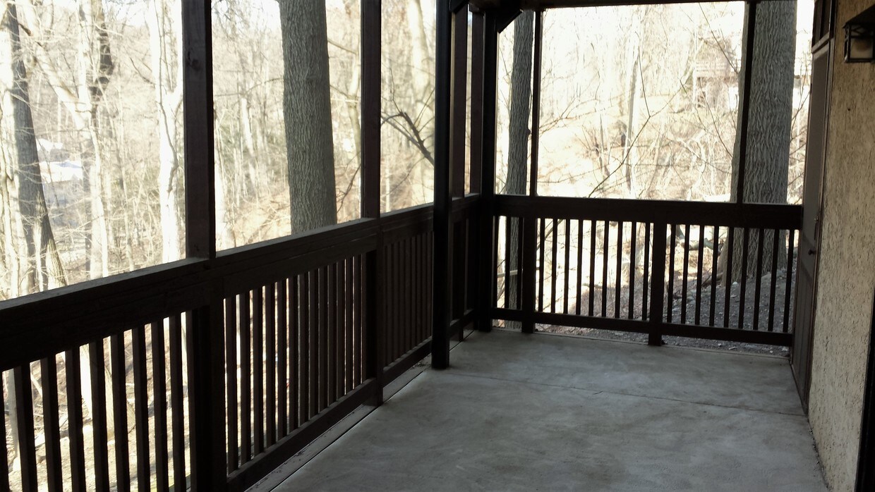 Full Screened Porch - 257 Shawmont Ave