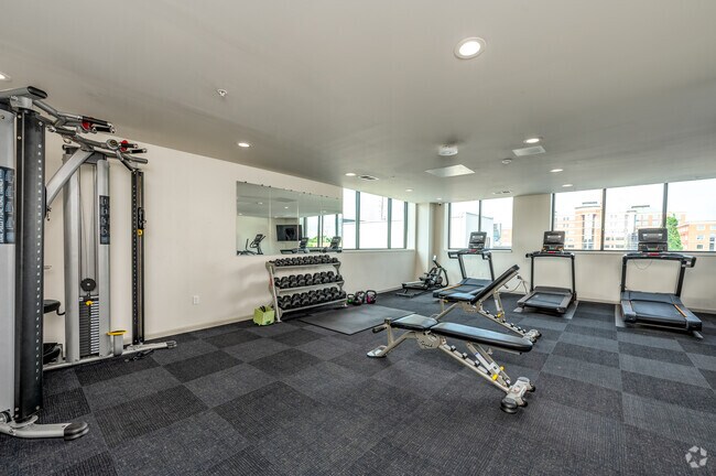 Gimnasio abierto las 24 horas, los 7 días de la semana - The Leo