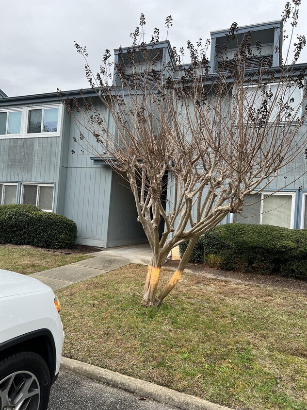 Foto principal - 10301 N Kings Hwy