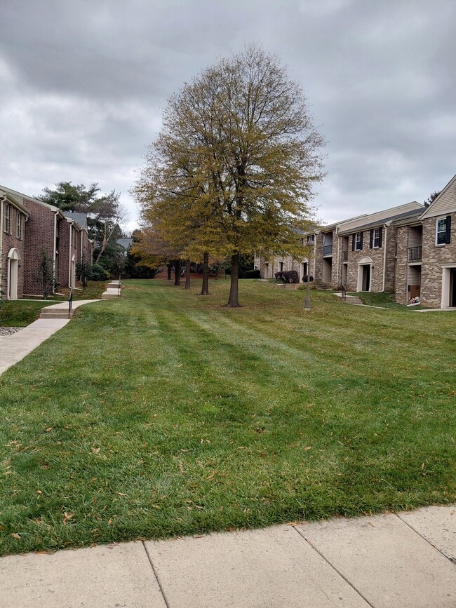 Foto del edificio - 93 Ramsgate Ct