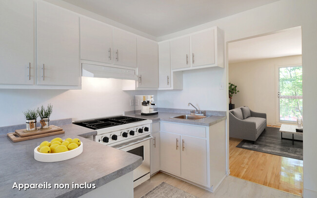 Interior Photo - Jardins Viva