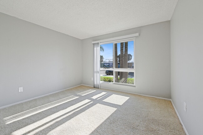 Building Photo - The Gallery at Playa Pacifica