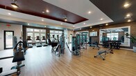 Located at 13555 Yellow Fern Way in Riverview, Hillsborough County, Florida, this fitness center offers a comprehensive and thoughtfully designed workout facility on a single floor. The space is defined by its striking architectural details, including a tray ceiling accented in deep burgundy with recessed lighting and a ceiling fan, contrasted by a dark charcoal upper perimeter that adds a modern, polished aesthetic. Warm brick accent walls run throughout, lending texture and visual depth to the interior.

Light hardwood-style flooring spans the entire space, creating a clean and functional workout surface. Large windows along multiple walls allow generous amounts of natural light to filter in, offering views of the surrounding Florida landscape and contributing to an open, airy atmosphere.

The facility is fully equipped for both cardio and strength training. Treadmills, ellipticals, and other cardio machines are positioned near the windows to take advantage of the natural light and outdoor views. The strength training area features a robust selection of cable machines, multi-station weight systems, free weights with a tiered dumbbell rack, and adjustable benches. Floor-to-ceiling mirrors are strategically placed to enhance the sense of space. Wall-mounted TVs and decorative artwork complete the environment, making this a well-rounded and inviting fitness destination.