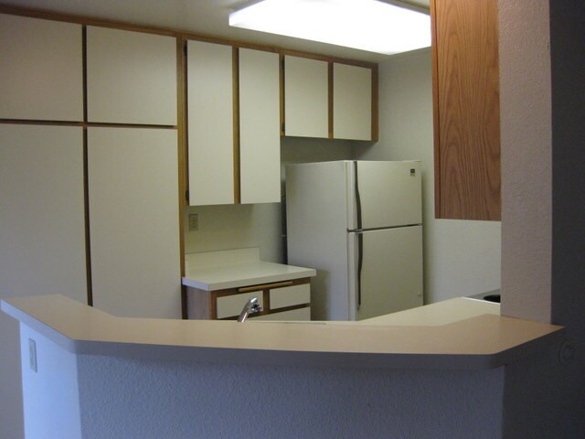 Plenty of cabinets - 9709 Mesa Springs Way