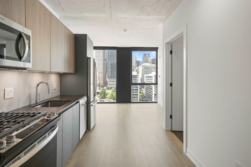 Photo - 221 W Polk St (Chicago, IL)