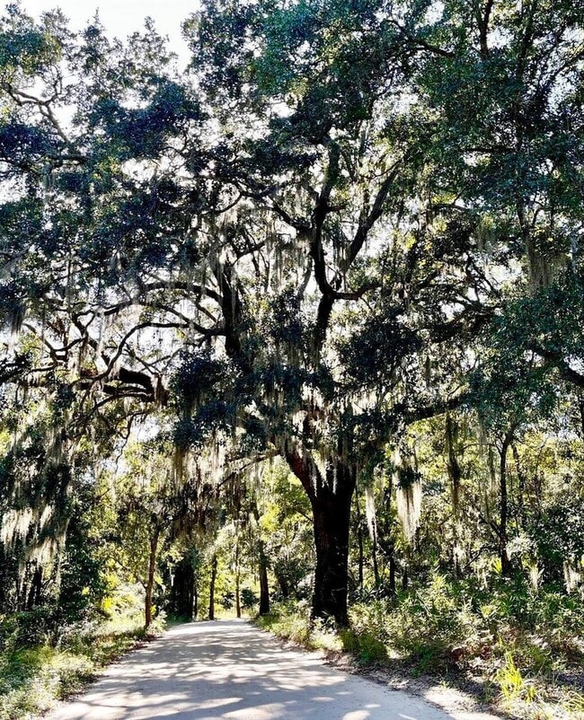 Foto del edificio - Quiet and Serene Johns Island Living