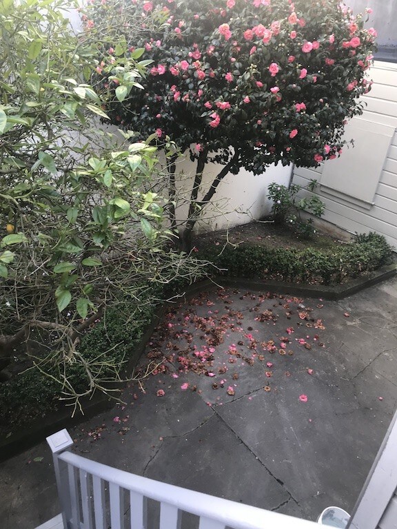 Foto del edificio - 5 Lombard St