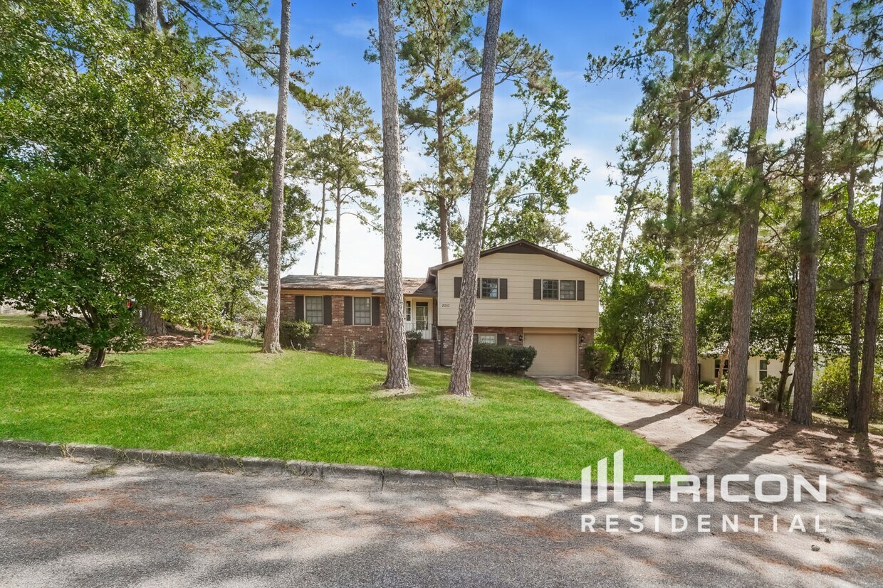 Primary Photo - 2010 Flintwood Dr