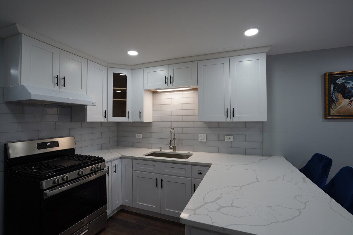 620 57th St Unit 1, Clarendon Hills, IL 60514 Apartments in