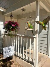 Building Photo - 9603 Nightjar Dr