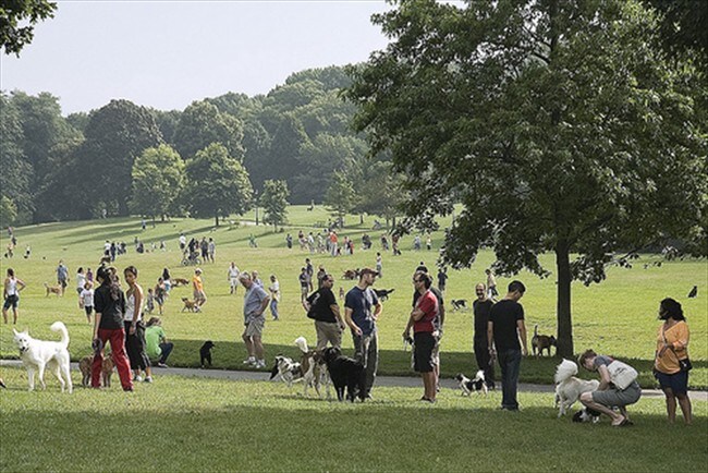 Building Photo - 760 Prospect Pl