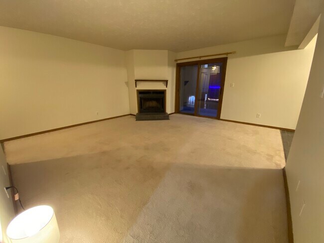 Living room fireplace - 1916 Tracy Dr