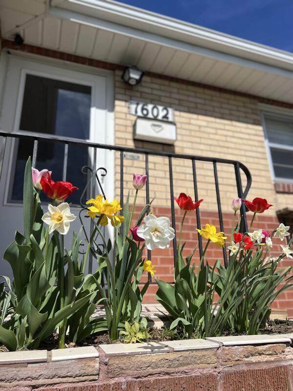 Building Photo - 1602 Hot Springs Ave