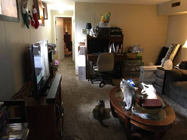 Foto del edificio - 1008 Hackberry Dr