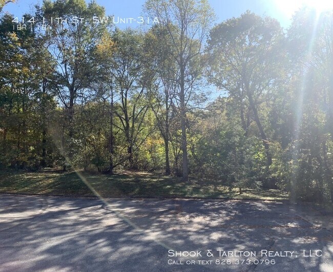 Foto del edificio - 414 11th St SW