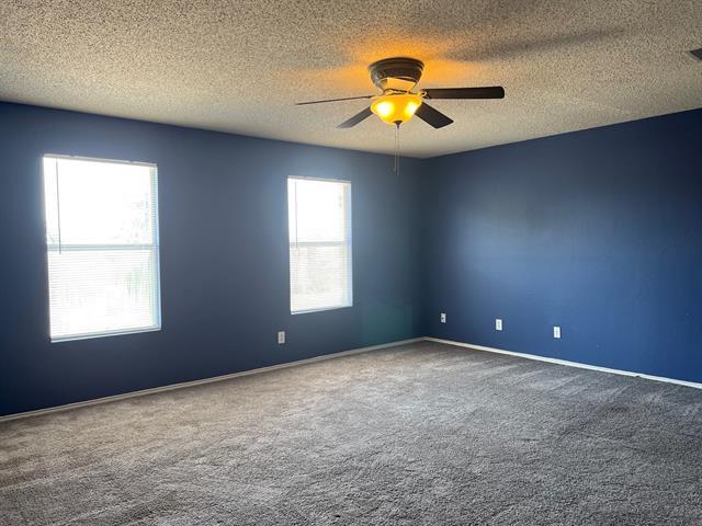 Building Photo - 2333 Live Oak Dr