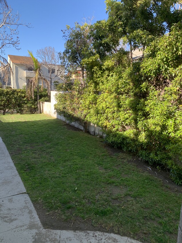 Beautiful grassy yard and trees - 1543 11th St