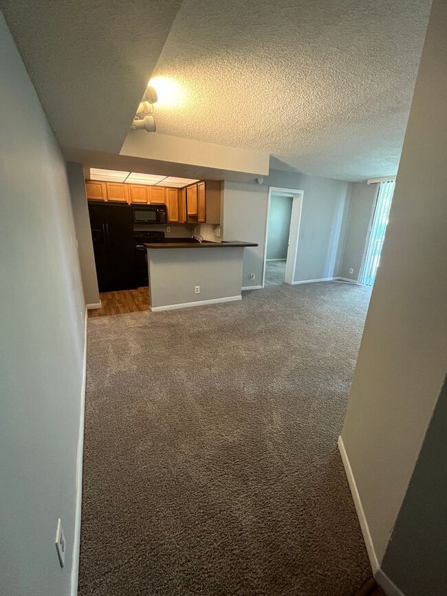 Photo - TWO BEDROOM TWO BATHROOM WITH LAKE VIEW!! Apartment