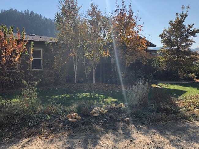Building Photo - Enjoy Serene Applegate!