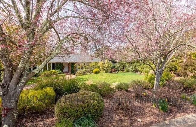 Foto del edificio - 65 Green Valley Ct