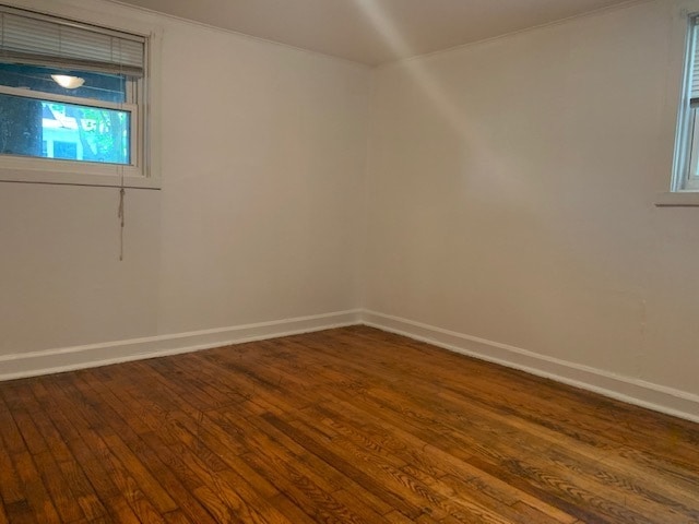 Building Photo - Garden-Level Apartment in Portage Park