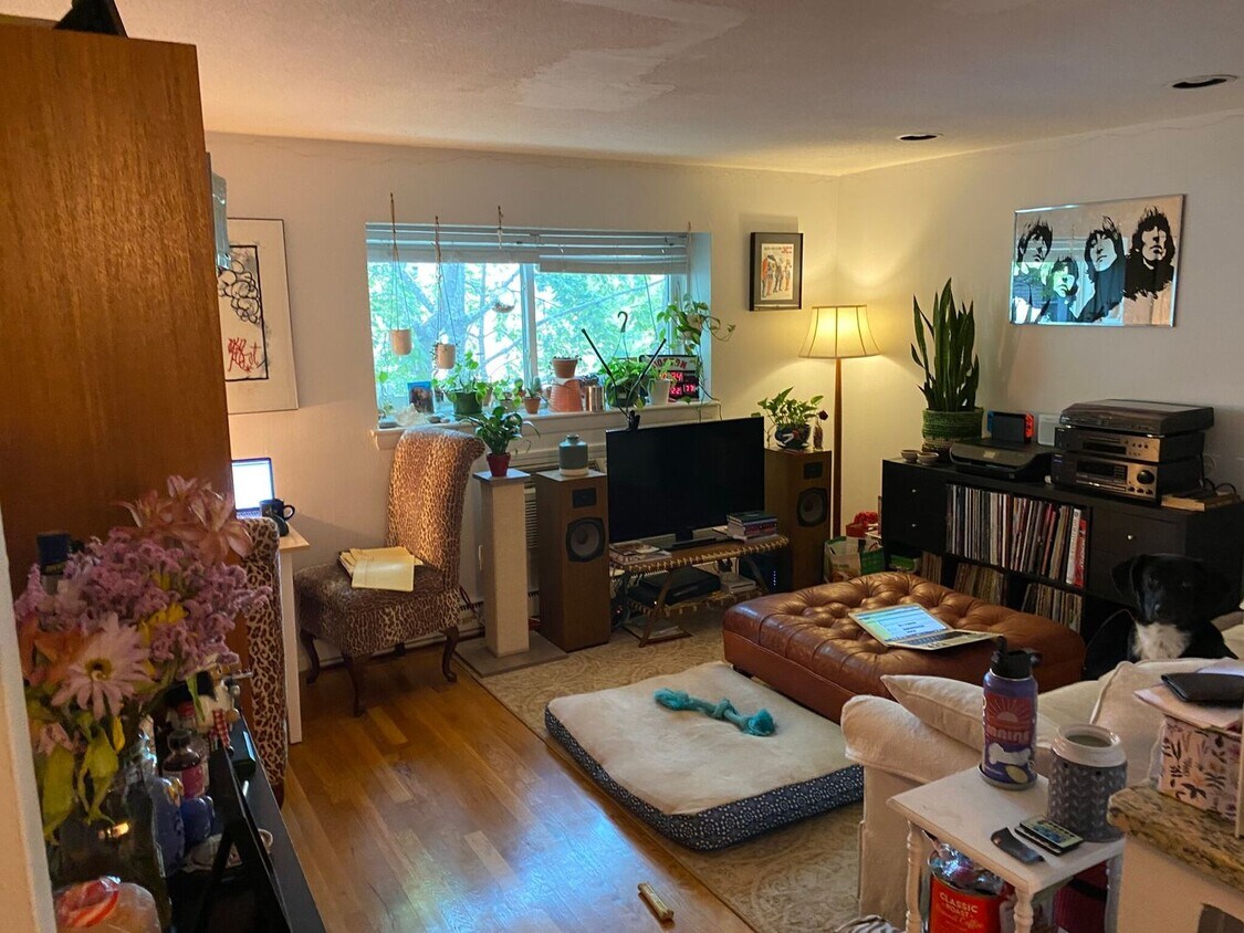 Primary Photo - Brighton 1 bed with dishwasher for 9/1