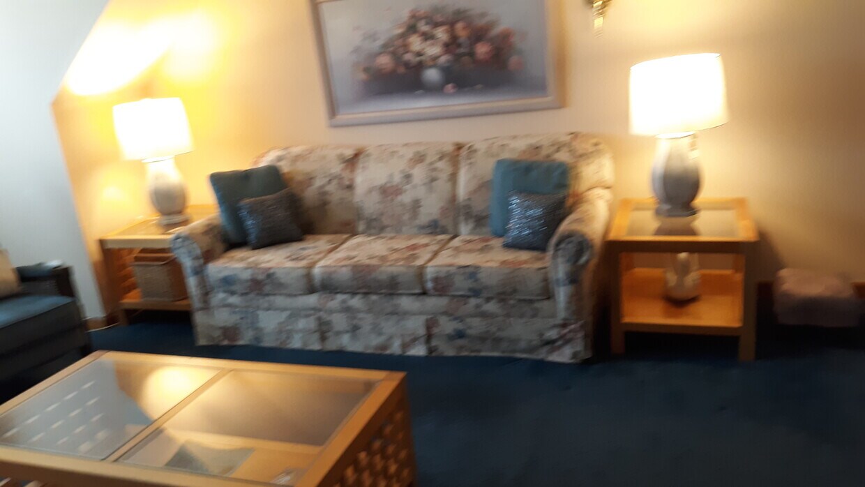 Fully Furnished Living room & Dining Rm. - 314 Fairview Ave